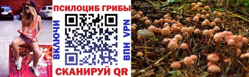 Галлюциногенные грибы Psilocybe  Щёлкино 
