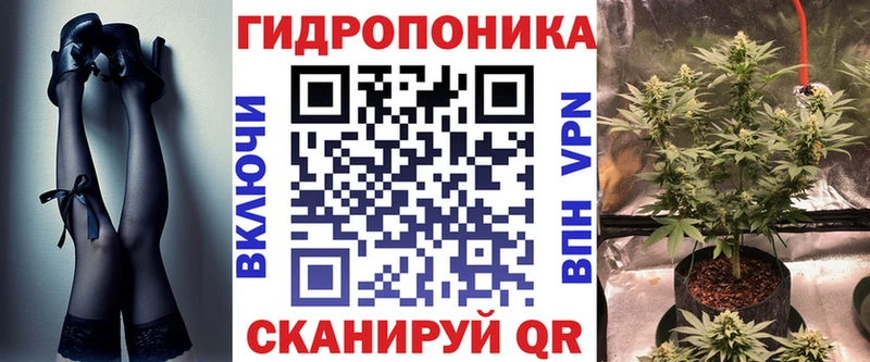 что такое   Щёлкино  Канабис ГИДРОПОН 